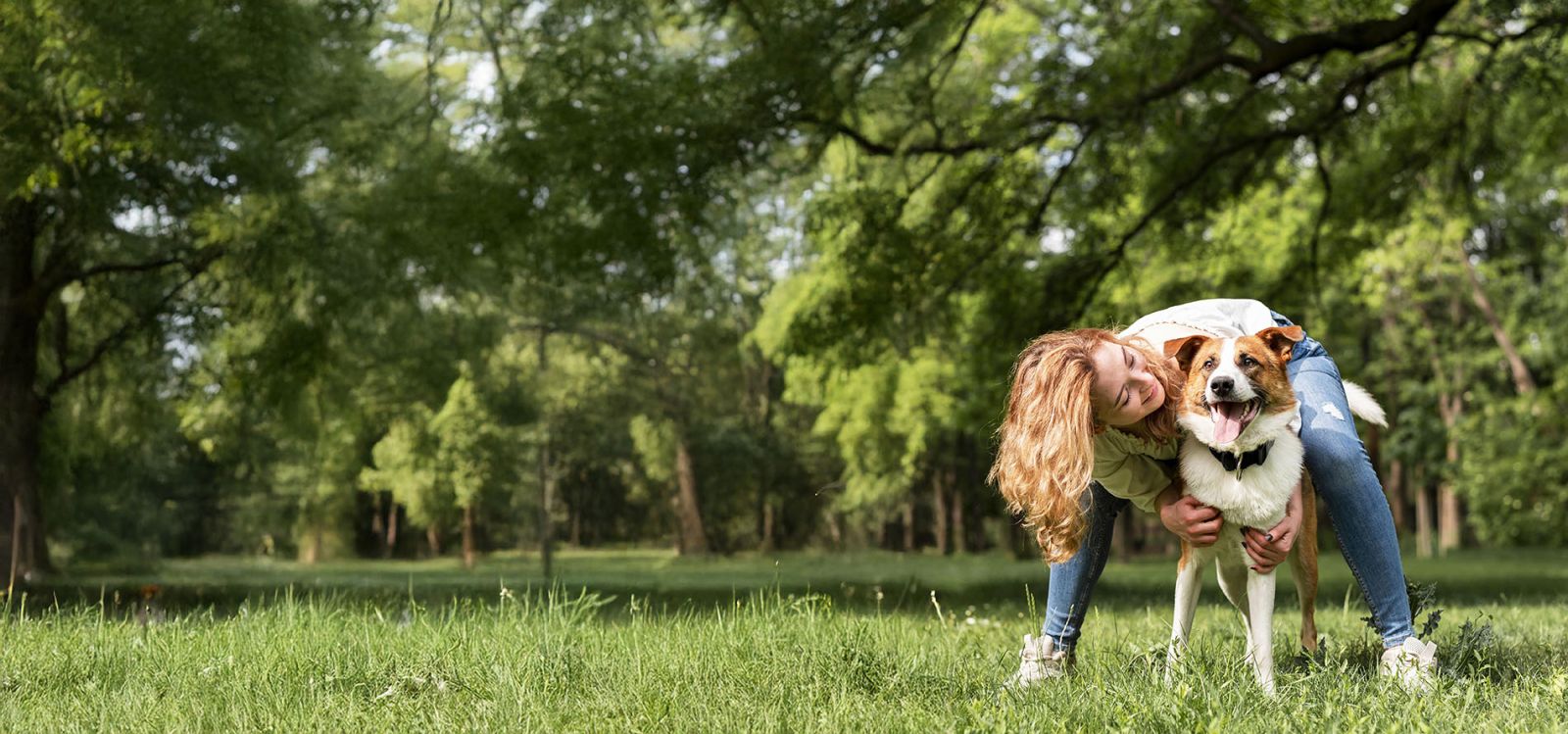 Heerlijke hondenvoeding voor een heerlijke prijs!