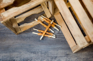 Sticks met kip 400 gram