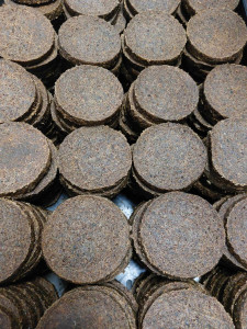 Paardenburgers groot