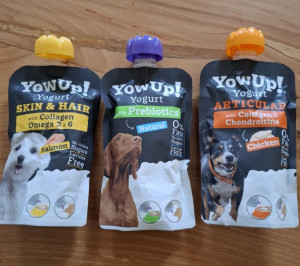 YowUp Yogurt