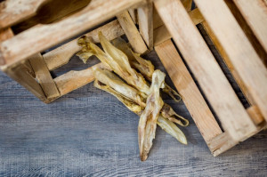 Konijnenoren zonder vacht