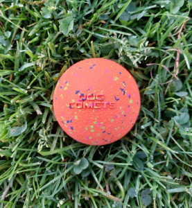 Dog Comets bal