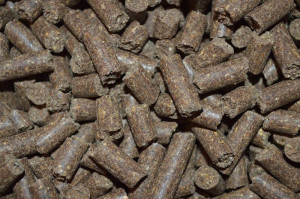 Uut Twelle Super Fit Brok