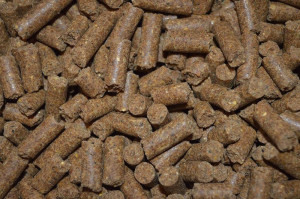 Uut Twelle Super Allergie brok