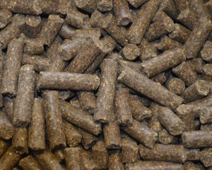 Uut Twelle Super Dieet Brok