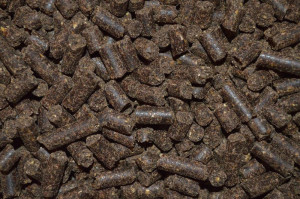 Uut Twelle Super Puppy Brok